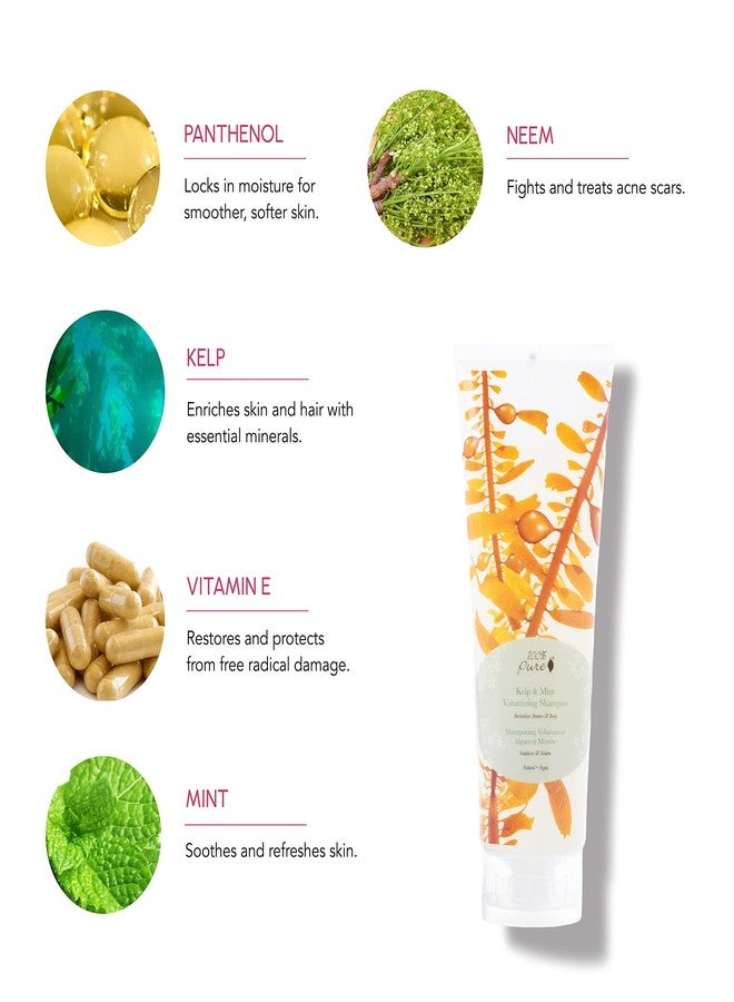 100 % Pure 100% PURE Kelp & Mint Volumizing Shampoo Purifying Hydration & Deep Detox - Botanical Body Boost for Dry, Damaged Thinning Hair, Promotes Healthy Growth for Women & Men - Sulfate Free - 8 Fl Oz - Image 3